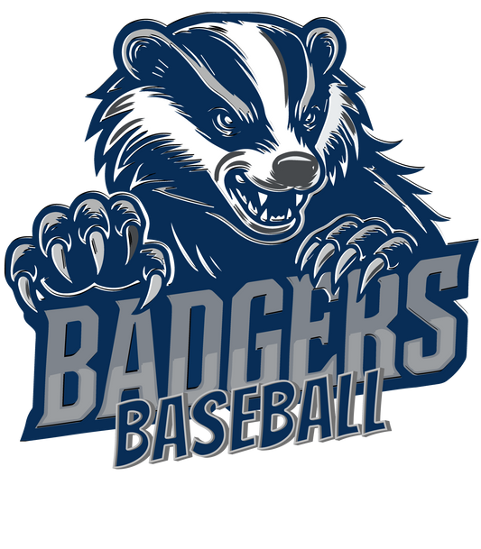 Baseball #4 - Badger Baseball