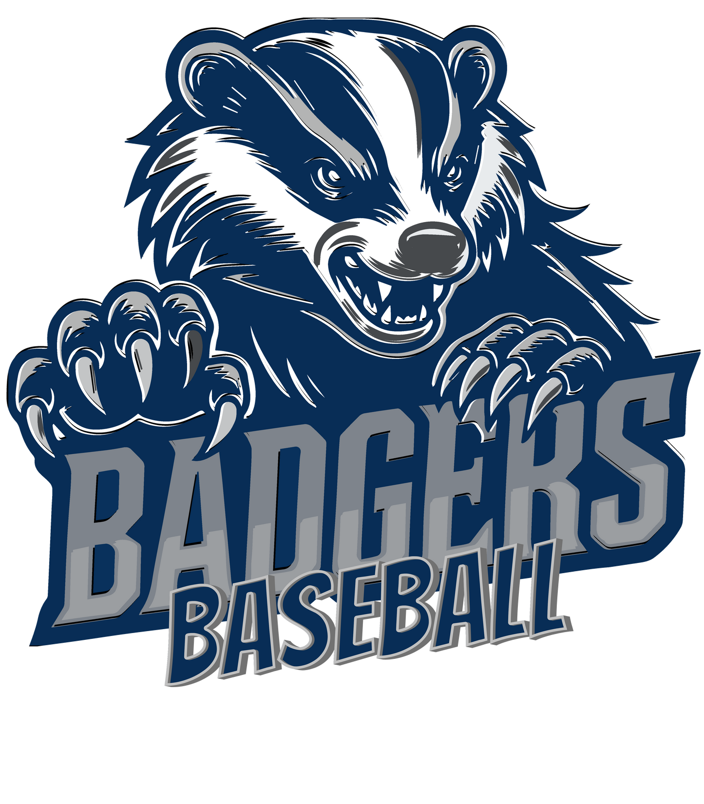 Baseball #4 - Badger Baseball