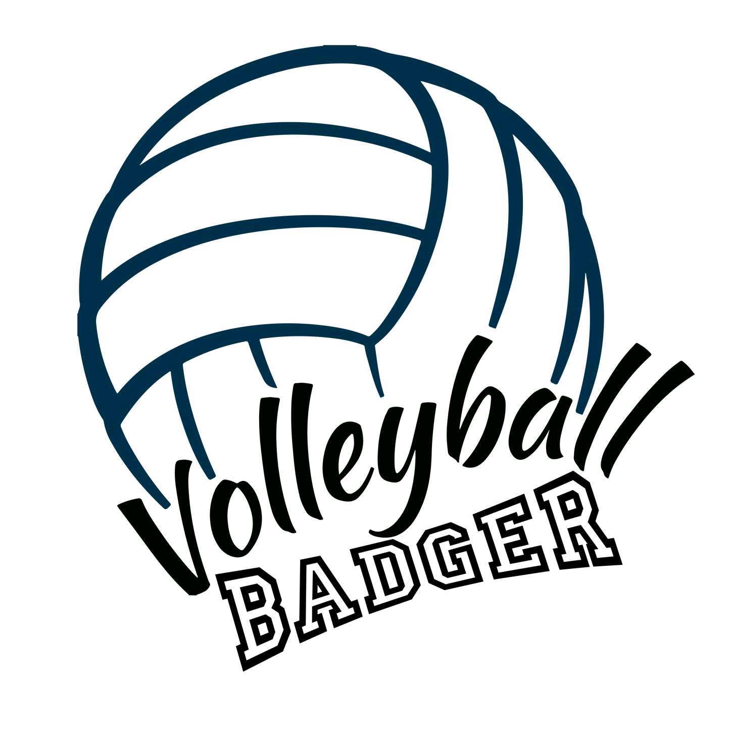 Volleyball Badger